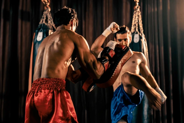 Muay Thai Catalog