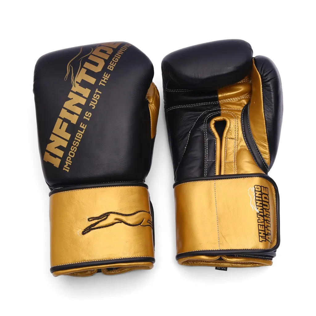 Harrier Pro Boxing Gloves | Black & Gold - Image 3