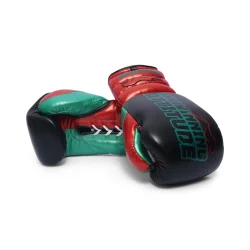 Raptor Xtreme Boxing Gloves | Black & Red
