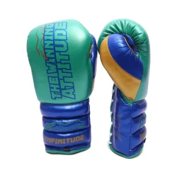 Raptor Xtreme Boxing Gloves | Green & Blue