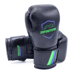 RAIDER PRO BOXING GLOVES | Black, Green & Blue