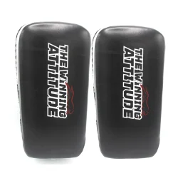 Martial Arts Ready Kick Pads